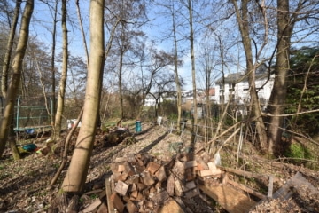 DIETZ: Junges Familienhaus mit 837 m² großen, idyllischen Waldgrundstück in Laufach! - Waldgrundstück (678059)