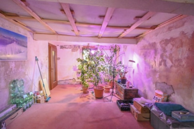 DIETZ: 2 Wohnungen! Haupthaus mit 110qm + Nebengebäude mit 54m² in zentraler Lage von Münster! - Schlafzimmer 1 EG (697854)