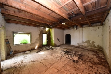 DIETZ: Gebäude mit vielen Nutzungsmöglichk.: Event-Location, Vergnügungsstätte, Wohnungen oder Büro - Eingangshalle (640524)