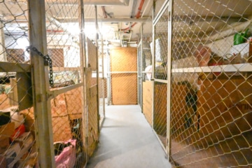 DIETZ: 2-Zimmer-Obergeschosswohnung in Rodgau Nieder-Roden – wenige Minuten vom Bahnhof entfernt! - Keller KG (668615)