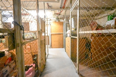 DIETZ: 2-Zimmer-Obergeschosswohnung in Rodgau Nieder-Roden – wenige Minuten vom Bahnhof entfernt! - Keller KG (697698)