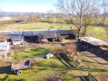 DIETZ: Reitgelände mit Stallungen für 13 Pferdeboxen auf 1,5 ha zu vermieten! Nur 20 Min von FFM! - Luftbild (666315)