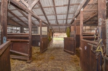 DIETZ: Reitgelände mit Stallungen für 13 Pferdeboxen auf 1,5 ha zu vermieten! Nur 20 Min von FFM! - Teil der Pferdeboxen (666327)