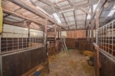 Teil der Pferdeboxen - DIETZ: Reitgelände mit Stallungen für 13 Pferdeboxen auf 1,5 ha zu vermieten! Nur 20 Min von FFM!