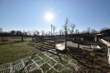 DIETZ: Reitgelände mit Stallungen für 13 Pferdeboxen auf 1,5 ha zu vermieten! Nur 20 Min von FFM! - Winterpadog (666322)