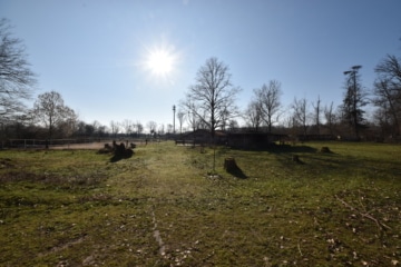 DIETZ: Reitgelände mit Stallungen für 13 Pferdeboxen auf 1,5 ha zu vermieten! Nur 20 Min von FFM! - Sommerkoppel (666311)