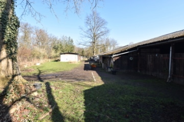 DIETZ: Reitgelände mit Stallungen für 13 Pferdeboxen auf 1,5 ha zu vermieten! Nur 20 Min von FFM! - Stallungen (666333)