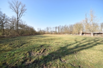 DIETZ: Reitgelände mit Stallungen für 13 Pferdeboxen auf 1,5 ha zu vermieten! Nur 20 Min von FFM! - Sommerkoppel (666307)