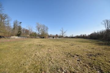 DIETZ: Reitgelände mit Stallungen für 13 Pferdeboxen auf 1,5 ha zu vermieten! Nur 20 Min von FFM! - Sommerkoppel (666305)