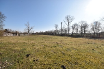 DIETZ: Reitgelände mit Stallungen für 13 Pferdeboxen auf 1,5 ha zu vermieten! Nur 20 Min von FFM! - Sommerkoppel (666310)