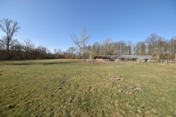 DIETZ: Reitgelände mit Stallungen für 13 Pferdeboxen auf 1,5 ha zu vermieten! Nur 20 Min von FFM! - Sommerkoppel (666309)