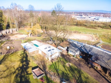 DIETZ: Reitgelände mit Stallungen für 13 Pferdeboxen auf 1,5 ha zu vermieten! Nur 20 Min von FFM! - Luftbild (666300)