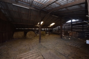 DIETZ: Reitgelände mit Stallungen für 13 Pferdeboxen auf 1,5 ha zu vermieten! Nur 20 Min von FFM! - HeuLager (666336)