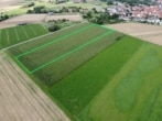DIETZ: 1,5 Hektar Ackerland nahe der Bebauungsgrenze von Groß-Umstadt Ortsteil Semd zu verkaufen! - Ackerlandfläche