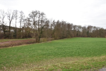 DIETZ: Kernsanierte 3-Zimmer-Wohnung in Feldrandlage von Unter-Schweinheim! Inkl. neuer Einbauküche! - 100m entfernter Feldrand (670002)