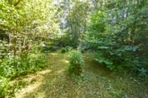 Waldgrundstück - DIETZ: Junges Familienhaus mit 837 m² großen, idyllischen Waldgrundstück in Laufach!