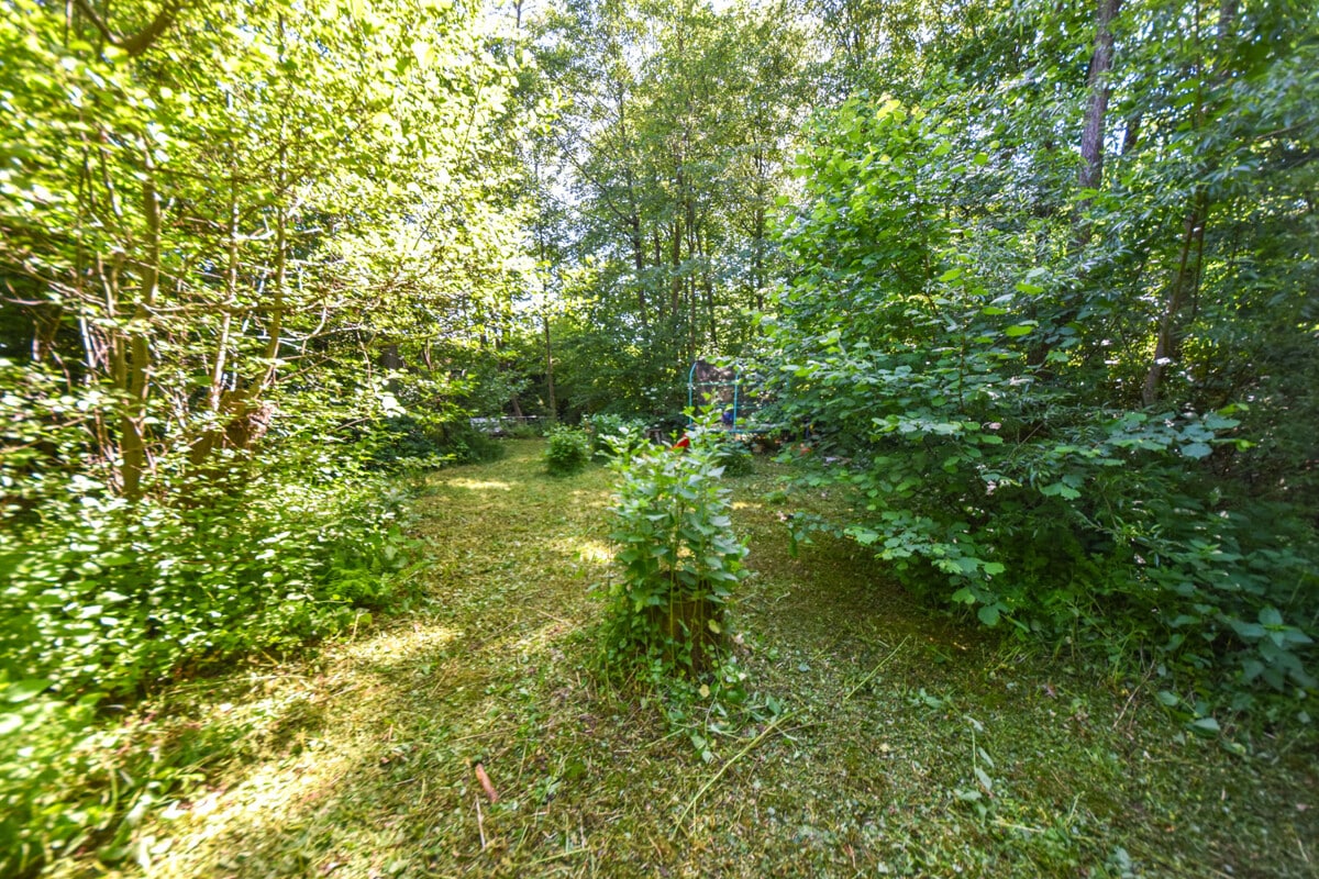 Waldgrundstück