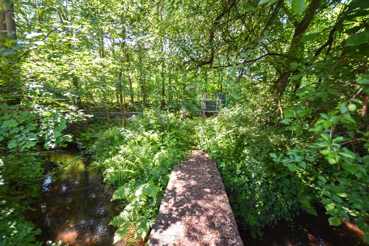 Waldgrundstück