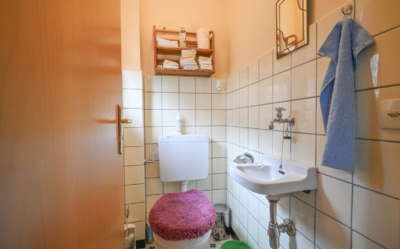 DIETZ: Gepflegter Bungalow mit Garten, Garage und Keller in herrlicher Lage von Wiebelsbach! - Gäste-WC EG (700279)