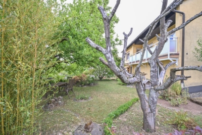 DIETZ: Gepflegter Bungalow mit Garten, Garage und Keller in herrlicher Lage von Wiebelsbach! - Garten (700303)