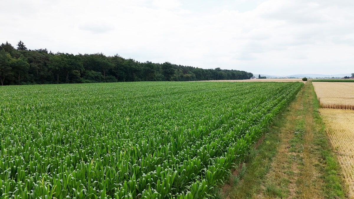 Ackerlandfläche