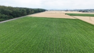 Ackerlandfläche - DIETZ: Ackerlandfläche direkt an einer Landstraße zu verkaufen zwischen Groß-Umstadt und Münster!