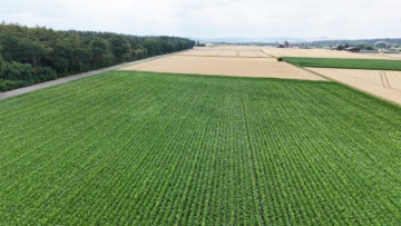 DIETZ: Ackerlandfläche direkt an einer Landstraße zu verkaufen zwischen Groß-Umstadt und Münster! - Ackerlandfläche (691133)