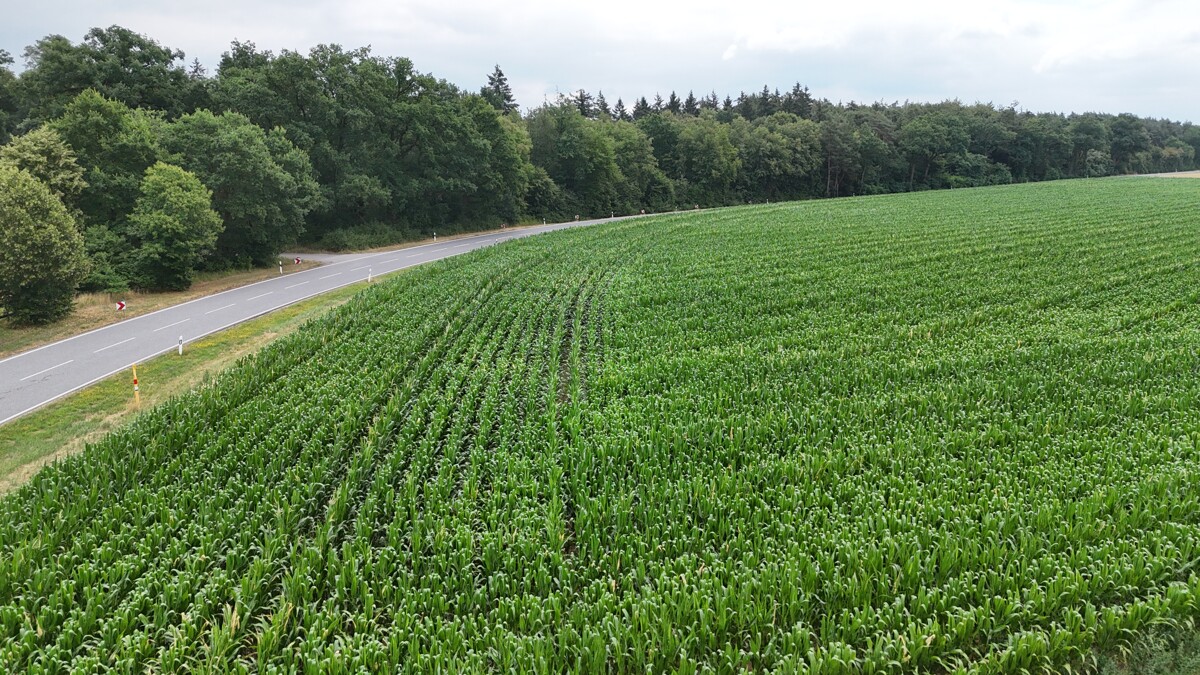 Ackerlandfläche