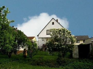 Ein 1-2 Fam-Haus, das SIE überzeugen wird.  Mit Doppelgarage
und riesigem Garten für Kinder und Tie, 64850 Schaafheim, Einfamilienhaus